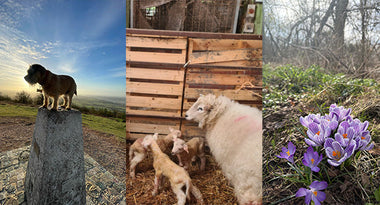 March Photo Challenge: Bloom!